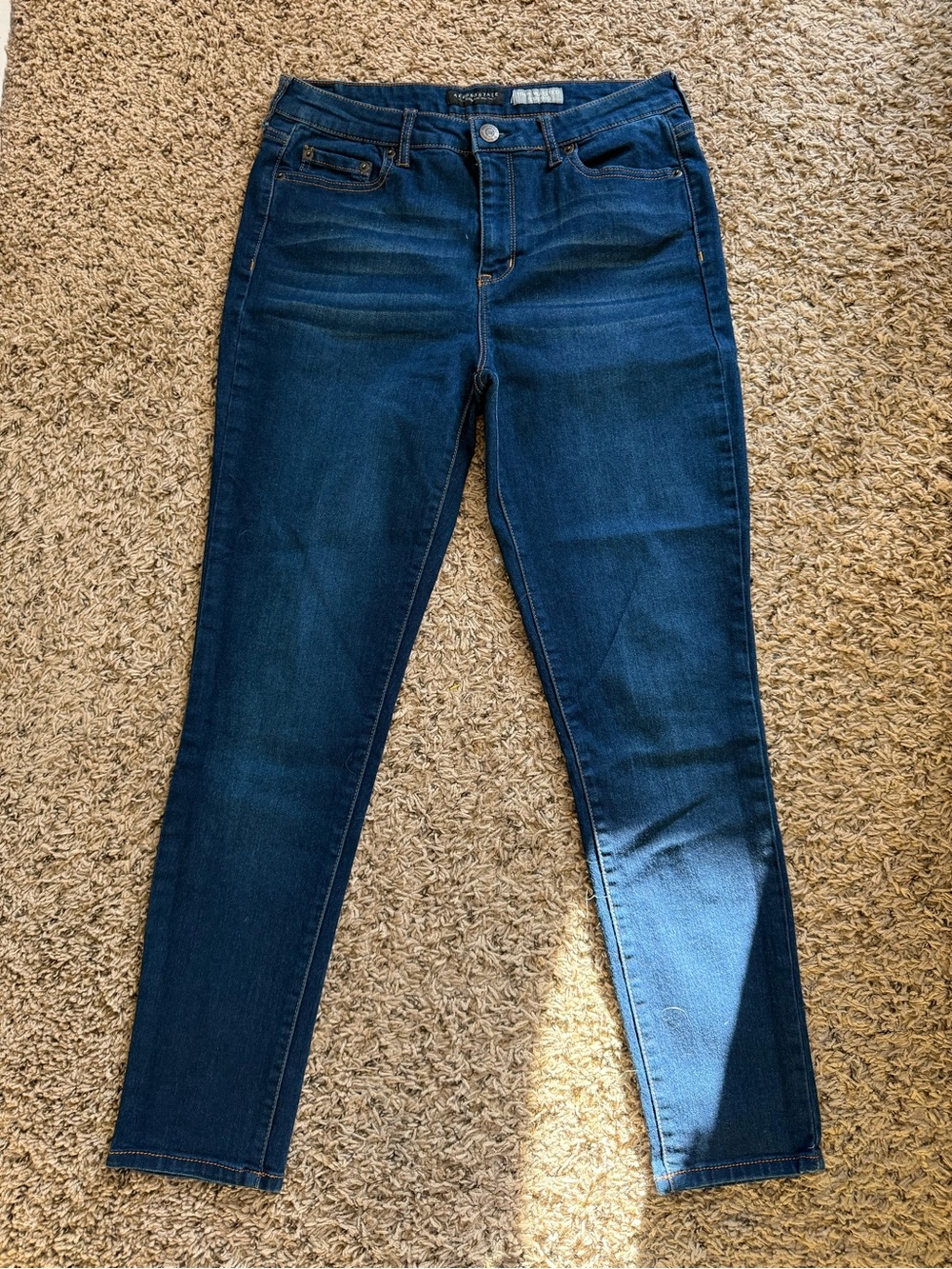 Aeropostale Dark Blue Stretch Skinny Jeggings